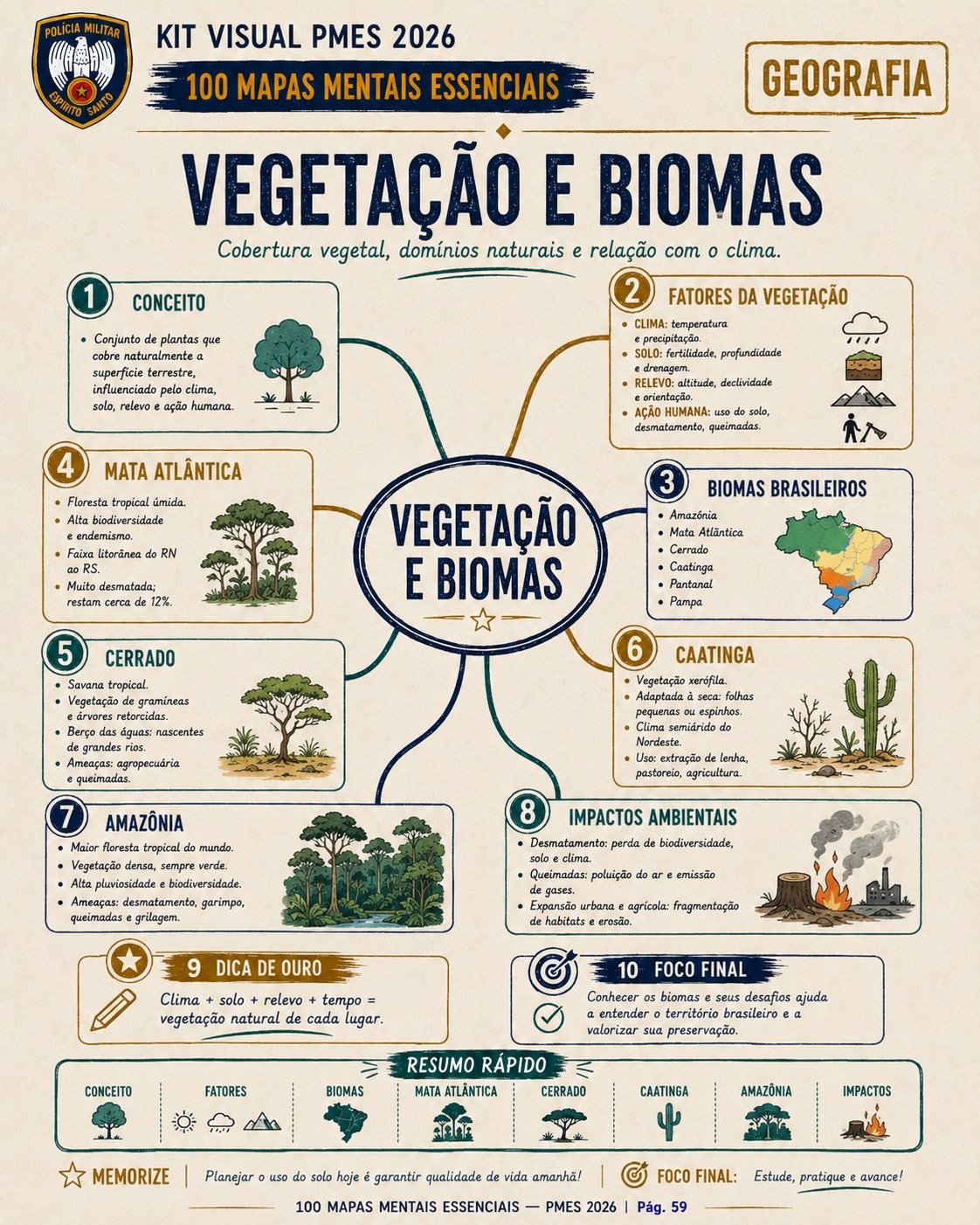 Mapa mental de vegetação e biomas